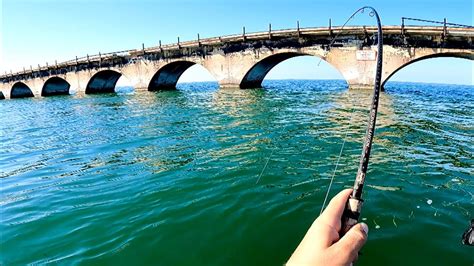 seven mile bridge fishing